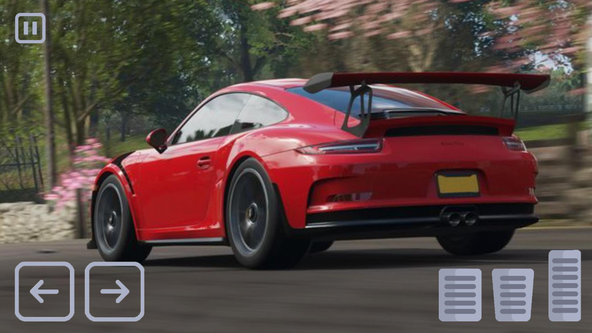 Порше 911 Каррера гонки