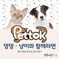 펫톡(Pettok) 포스터