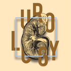 Urology icône