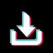 ”Video Downloader for TikTok  2021