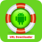 URL Video Downloader icon