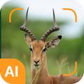 Animal identifier