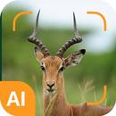 معرف الحيوان APK