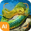 معرف الثعبان APK