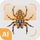 محدد العنكبوت APK