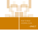 APK Normal Radiology: Spine CT
