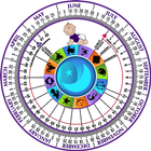 Pregnancy Wheel আইকন