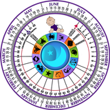 Pregnancy Wheel biểu tượng