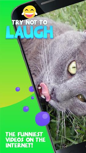 Try Not To Laugh Challenge For Android Apk Download