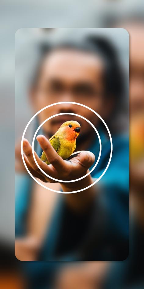 picture Photography Dslr Background Hd Blur dslr camera blur background photo