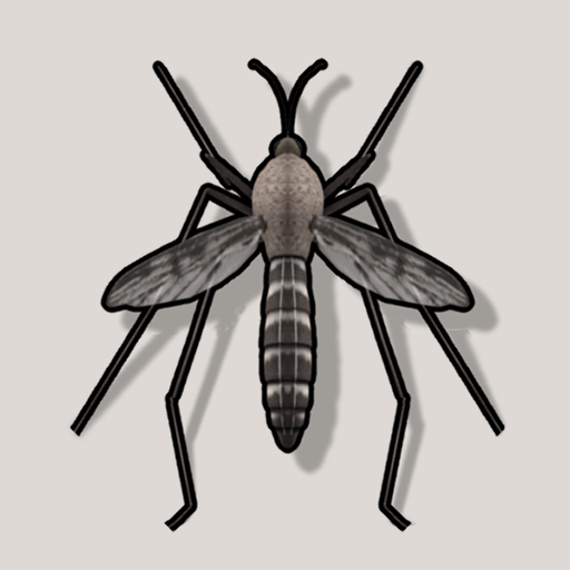 Zanzara Suono (Mosquito sound)
