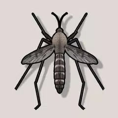 Mosquito Sound XAPK download