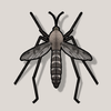 Moustique Sons (Mosquito sound) icône