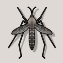 Sivrisinek Sesi (Mosquito sound) APK