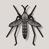 Sivrisinek Sesi (Mosquito sound)