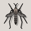 Komar Dźwięki (Mosquito Sound)