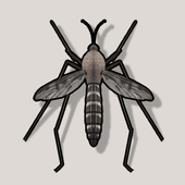 Mosquito Sonido (Mosquito sound) icono