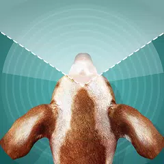 Dog Vision Simulator APK download