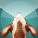 Simulateur de vue de chien APK