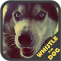 Dog Whistle Trainer