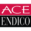 Ace Endico icon