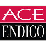 Ace Endico 아이콘