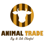 Animal Trade