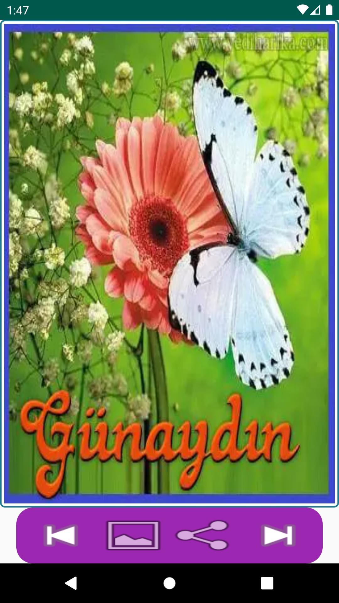 Resimli Gunaydin Mesajlari Cok Iyi Abi Nature Beautiful Nature Beautiful Landscapes