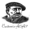 ”Özdemir Asaf Resimli Sözleri