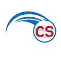 ”CricScore: Fast and Accurate