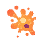 USM amoeba icône