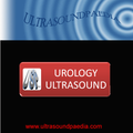 Urological Ultrasound