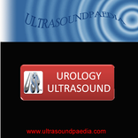 Urological Ultrasound