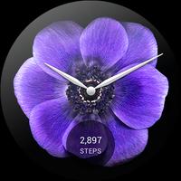 Looks Watch Faces تصوير الشاشة 3