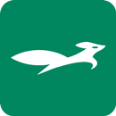 FoxoVPN — Fast & Security-APK