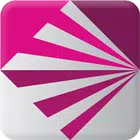 V2Ray icono