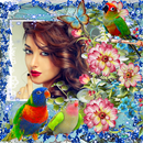 Bird Photo Frame APK