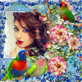 Bird Photo Frame ไอคอน