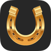 RomiRoom icon