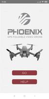 VTI Phoenix Affiche