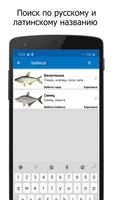Справочник рыбака capture d'écran 3