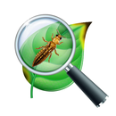 Plant diseases by photo APK