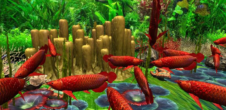 3d Red Arowana Live Wallpaper Pro For Android Apk Download