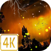 Day Night Live wallpaper 4K - Sensor, Multi Touch APK
