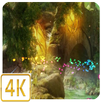 Fireflies Live Wallpaper 4K - Sensor, Multi Touch APK
