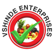 VShinde mobile app icon