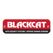 Blackcat