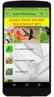 Suara Pikat Burung Kolibri MP3 تصوير الشاشة 1