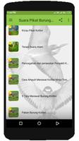 Suara Pikat Burung Kolibri MP3 تصوير الشاشة 2