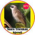 Suara Trucukan Ngeroll MP3